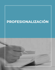 Profesionalización