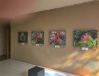 Recibe Centro Regional de Cultura Apaxco exposición "Flores"