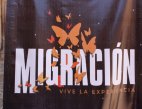 muestra