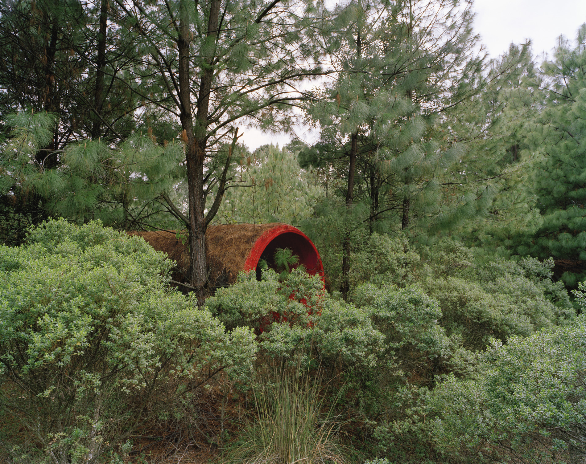 Exposición <em>Diálogo con un paisaje</em>