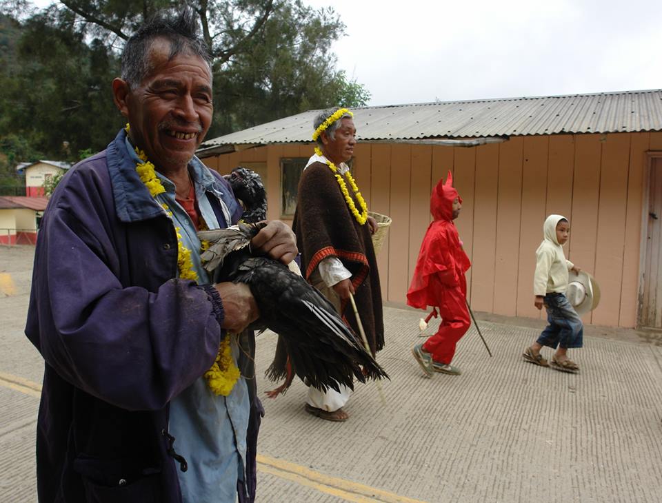 Exposición <em>Otras miradas. Otros carnavales</em>