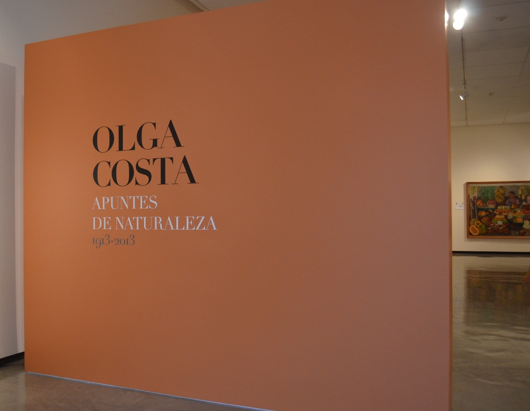 Exposición <em>Apuntes de naturaleza 1913-2013</em> de Olga Costa