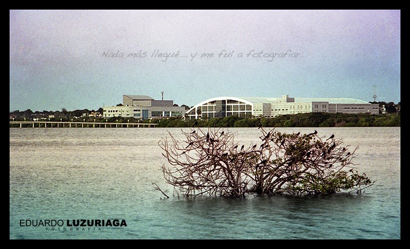 Muestra fotográfica <em>Postales del Paraíso</em>