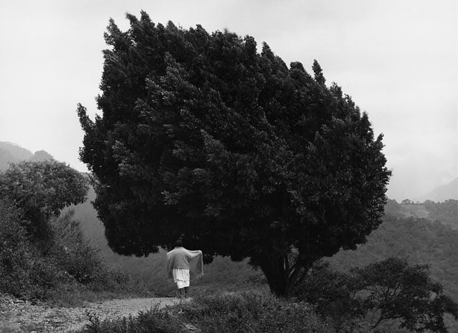 Exposición  <em>La construcción de un instante</em> de Flor Garduño