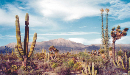 Sitios mexicanos