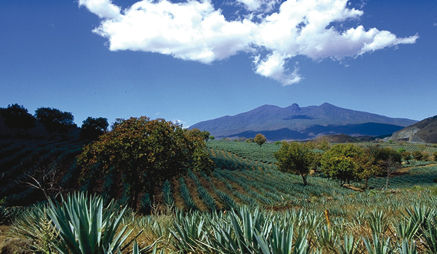 Sitios mexicanos