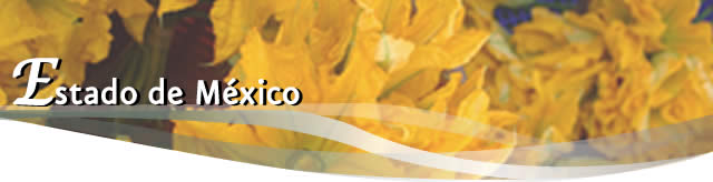 Ruta Gastron&oacute;micas