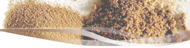 Ruta Gastronómicas